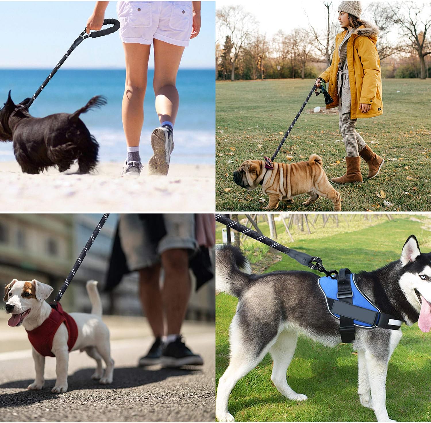 Rope Dog Lead, Befekt Gears 5FT Durable Rope Twist Lead with Soft Padded Handle and High Reflective Threads for Small, Medium and Large Dogs